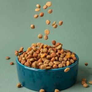 Adjustable Nylon Dog Collar – Blue